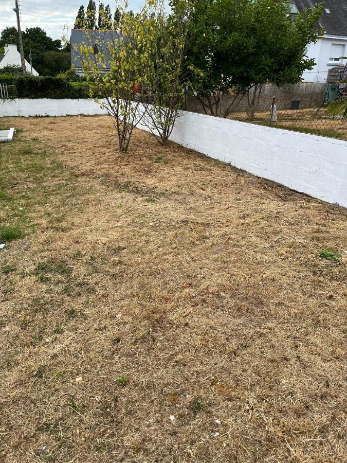 Ng Suitehome - Queven - Balneo - Netflix - Wifi Exterior photo